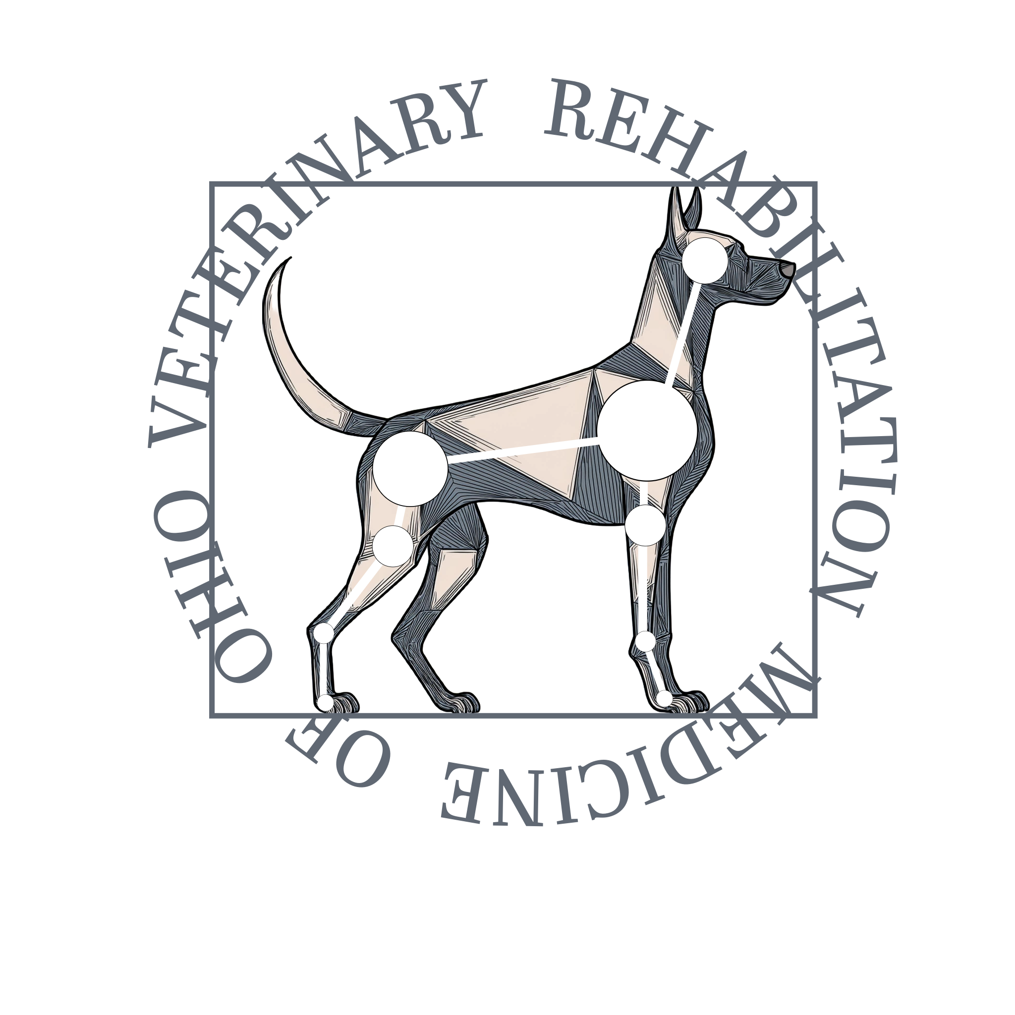 Veterinary Rehabilitation Medicine of Ohio