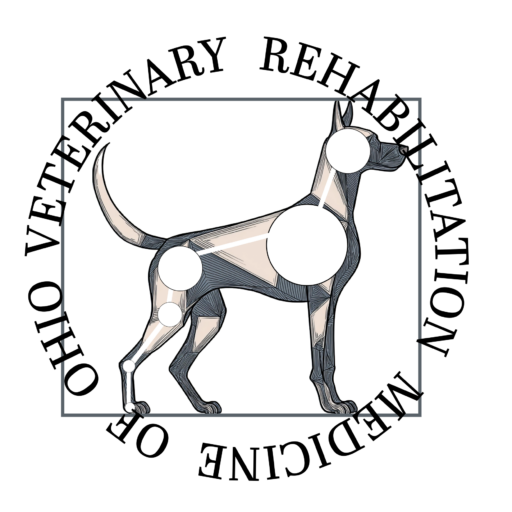 Patnode Dvm Veterinary Rehabilitation Medicine of Ohio