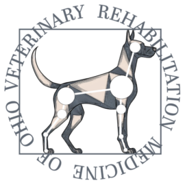 Patnode Dvm Veterinary Rehabilitation Medicine of Ohio