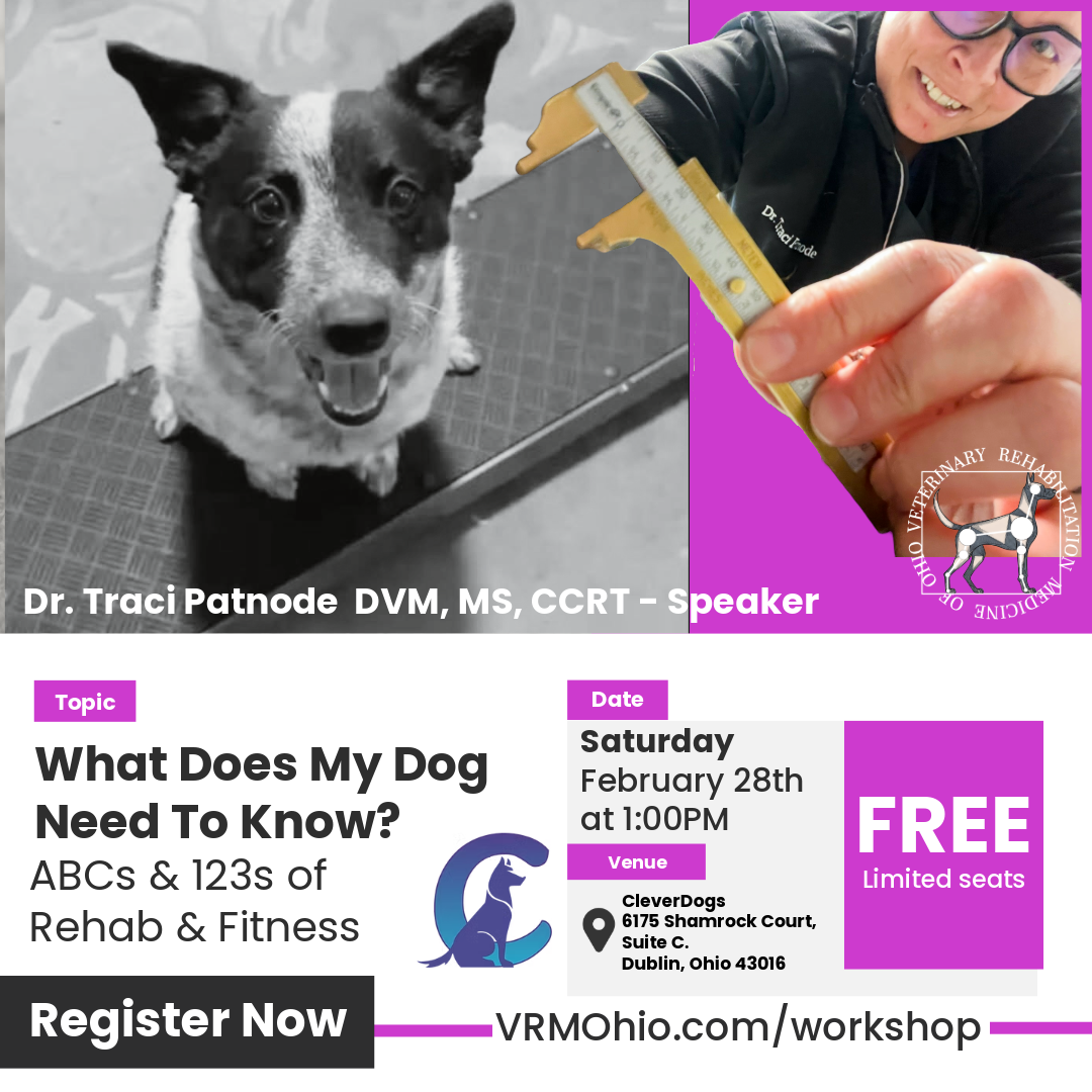 Patnode Dvm Thank You For Registering - Veterinary Rehabilitation Medicine of Ohio